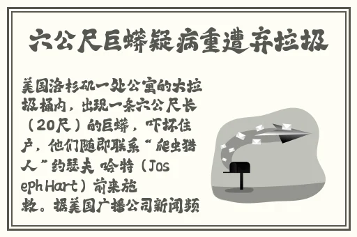 黑又硬巴斯狂砍